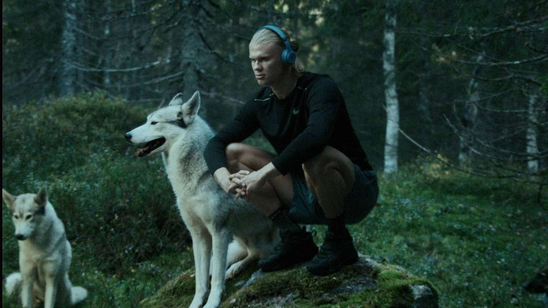 这一事件不 这一事件不